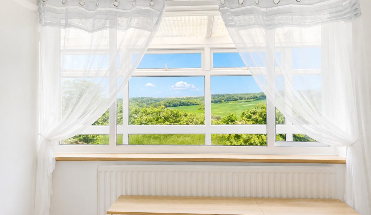 window in bed 1